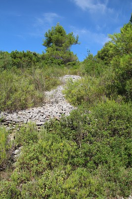 C19861 26-07-2014 uvala Piškera.jpg